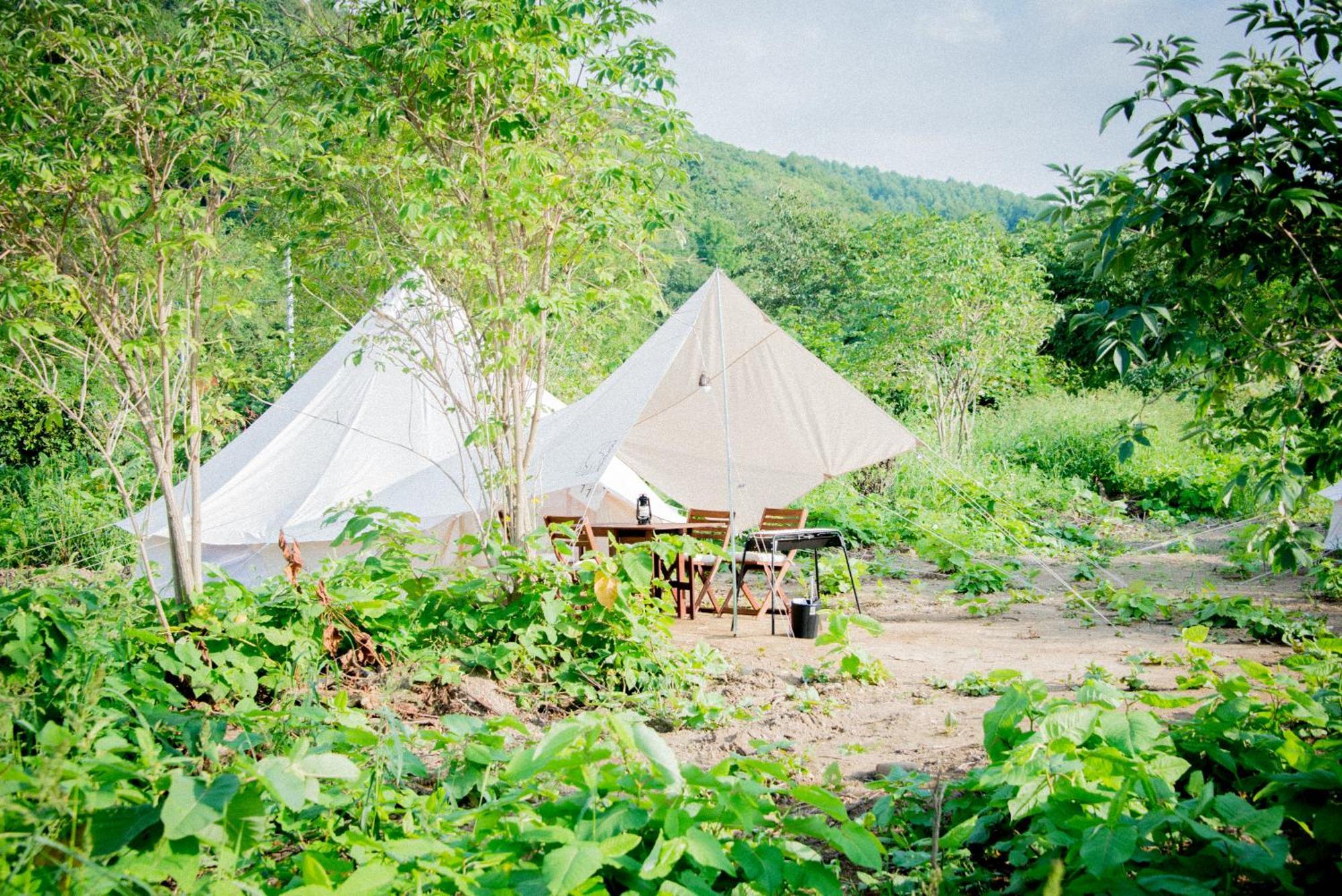 Yoichi Vineyard Glamping Ξενοδοχείο Εξωτερικό φωτογραφία